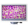 Mikroskop LEVENHUK D85L LCD Biały Kod pocztowy 04-534