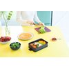 Lunch box BRABANTIA 203060 Przegródki Nie