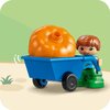 LEGO 10993 DUPLO Domek na drzewie 3 w 1 Płeć Chłopiec