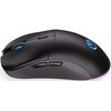 Mysz ENDORFY GEM Plus Wireless Komunikacja z komputerem Bezprzewodowa