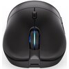 Mysz ENDORFY GEM Plus Wireless Interfejs 2.4 GHz