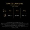 Karma dla kota SHEBA Nature Collection (40 x 85 g) Smak Łosoś