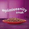 Karma dla kota WHISKAS Mix Smaków (40 x 85 g) Typ Mokra