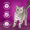 Karma dla kota WHISKAS Tasty Mix Kremowe Wariacje Mix smaków 12 x 85 g Etap życia Dorosły