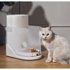Dozownik karmy automatyczny CATLINK CL-F-01 Przeznaczenie Dla kota