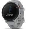 Zegarek sportowy GARMIN Forerunner 255S Szary Komunikacja Bluetooth