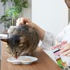 Przysmak dla kota INABA Kurczak 25 g Skład podstawowy Białko surowe 27.5%