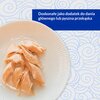 Przysmak dla kota INABA Kurczak 25 g Smak Kurczak
