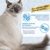 Przysmak dla kota INABA Churu Skin&Coat Kurczak (4 x 14 g) Smak Kurczak