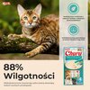 Przysmak dla kota INABA Churu Kurczak z krabem (4 x 14 g) Przeznaczenie Dla kota