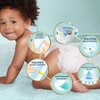 Pieluchy PAMPERS Premium Care Monthly Box 4 Maxi (174 szt.) Liczba sztuk w opakowaniu 174