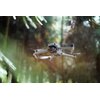 Dron DJI Mavic 3 Pro Cine Premium Combo z kamerą 4/3 CMOS Hasselblad Camera Konstrukcja Tworzywo sztuczne