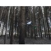 Dron DJI Mavic 3 Pro Cine Premium Combo z kamerą 4/3 CMOS Hasselblad Camera Typ Profesjonalny