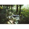 Dron DJI Mavic 3 Pro Cine Premium Combo z kamerą 4/3 CMOS Hasselblad Camera Częstotliwość [GHz] 5.725 - 5.850