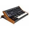 Syntezator MOOG SUBsequent 25 LPS-SUB-007-06 Dynamiczna klawiatura Tak