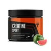 Monohydrat kreatyny TREC NUTRITION Endurance