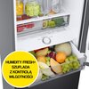 Lodówka SAMSUNG RB38C776CB1 EF AI No Frost 203cm Grafitowa stal Kolor producenta Grafitowa stal