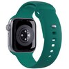 Pasek PURO Icon do Apple Watch 38/40/41mm Zielony Kolor Zielony