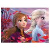 Puzzle LISCIANI Disney Kraina Lodu 304-91881 (60 elementów) Rodzaj Tradycyjne