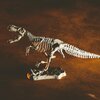 Zestaw kreatywny LISCIANI Crazy Science Smoki i dinozaury 304-PL89390 Płeć Chłopiec