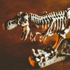 Zestaw kreatywny LISCIANI Crazy Science Smoki i dinozaury 304-PL89390 Materiał Drewno