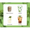 Syrop do lemoniady MONIN Mojito Mint 250 ml Smak Mojito Mint