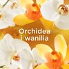 Płyn do płukania LENOR Perfume Therapy Orchid & Vanilla 2 x 1200 ml Pojemność [ml] 2400