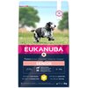 Karma dla psa EUKANUBA Senior Medium Breeds Kurczak 3 kg Smak wiodący Kurczak