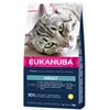 Karma dla kota EUKANUBA Adult Kurczak 2 kg