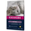 Karma dla kota EUKANUBA Kitten Kurczak 10 kg Opakowanie Torebka