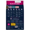 Karma dla kota EUKANUBA Kitten Kurczak 10 kg Typ Sucha