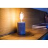 Inteligentna żarówka LED BRENNENSTUHL Edison 4.9W E27 Wi-Fi Rodzaj Żarówka LED