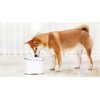 Poidło XIAOMI Smart Pet Fountain XWWF01MG-EU Przeznaczenie Dla psa