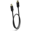 Kabel USB-C - USB-C FIIO LT-LT4 0.5 m Czarny Rodzaj Kabel