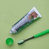Pasta do zębów SPLAT Biomed Gum Health 100 ml Dodatkowe działanie Odświeża oddech