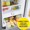 Lodówka SAMSUNG RB38C675DS9 EF AI No Frost 203cm Szczotkowana stal nierdzewna Kolor producenta Szczotkowana stal nierdzewna