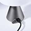 Lampka stołowa LEXON Mina M LH64MX Ciemnoszary Nazwa D-R-O Sp. z o.o. Sp. k.