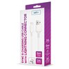Kabel USB - Lightning SETTY New 2A 3 m Biały Długość [m] 3