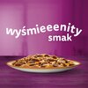 Karma dla kota WHISKAS Tasty Mix Kolekcja Wiejskich Smaków (4 x 85 g) Typ Mokra
