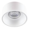 Lampa sufitowa punktowa KANLUX Mini Ritti GU10 W/W Biały