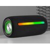Głośnik mobilny TRACER Stripe Radio FM Czarny Złącza AUX