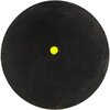 Piłka do squasha WILSON Single Yellow Dot Slow (2 szt.) Sport Squash