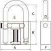 Kłódka PROLINE 24850 50 mm 4 klucze Grubość [mm] 20