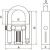 Kłódka PROLINE 24960 60 mm 4 klucze Gwarancja 24 miesiące