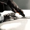 Nóż FISKARS 1027224 Rodzaj Nóż uniwersalny składany