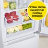 Lodówka SAMSUNG RB34C675DWW EF AI No Frost 185.3cm Biała Bezszronowa (No Frost) Pełny No Frost