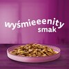 Karma dla kota WHISKAS Pure Delight Junior Drobiowe Frykasy w galaretce (4 x 85 g) Typ Mokra