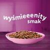 Karma dla kota WHISKAS Junior Klasyczne posiłki Wołowina z kurczakiem (4 x 85 g) Typ Mokra