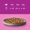 Karma dla kota WHISKAS Pure Delight Drobiowe Frykasy w galaretce (4 x 85 g) Rasa Wszystkie