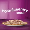Karma dla kota WHISKAS Tasty Mix Indyk z jagnięciną 85 g Typ Mokra